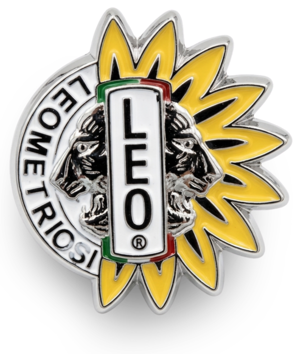 Spilla Leometriosi